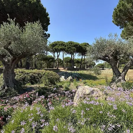 Joli Duplex Avec Vue Sur Mer, 2 Ou 3 Couchages, Clim, 50m De La De Lxcrab8 公寓 波尔蒂拉盖